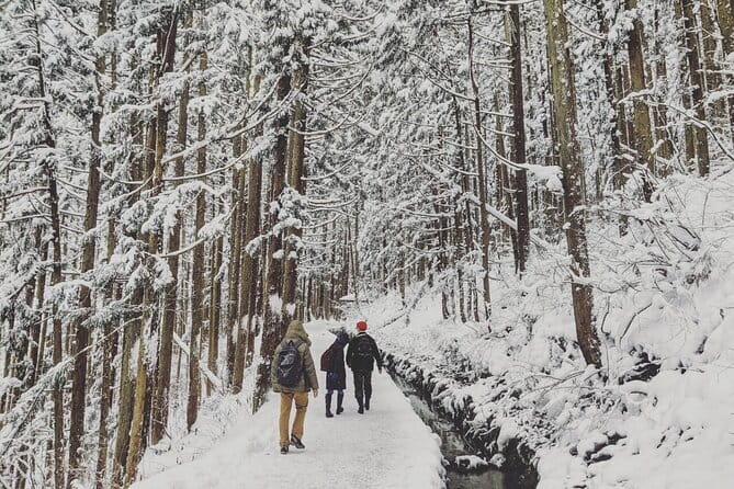 1-Day Winter Tour From Nozawa Onsen: Snow Monkeys, Zenko-ji Temple & Sake - Lunch at Japanese Dining GOEN