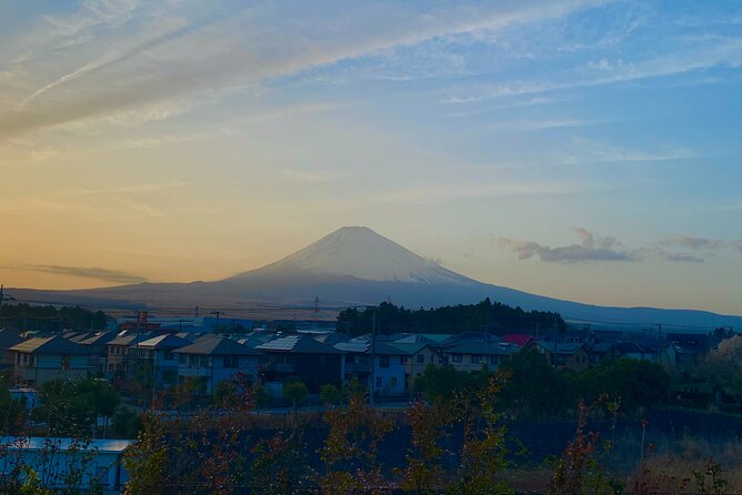 3-Hour Gotemba Food and Nightlife Izakaya Walking Tour - Dinner in local restaurants