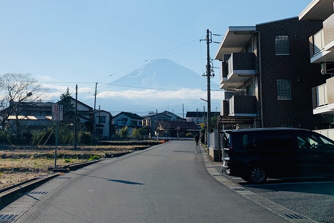 3-Hour Gotemba Food and Nightlife Izakaya Walking Tour - Shizuoka craft beer to finish