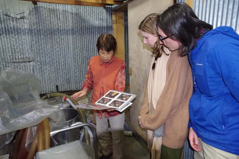 Explore Matsumoto: Castle, Sake & Taste of Local Life - Should you book the Matsumoto Castle and sake tour?