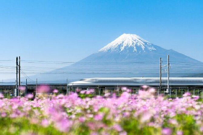 Feel Mt Fuji and Sake Tasting Private Tour from in Shizuoka - Omiya Yokocho and a plate of Fujinomiya yakisoba