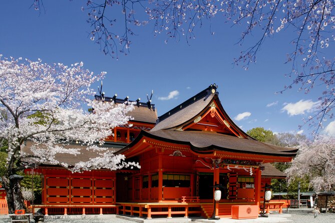 Feel Mt Fuji and Sake Tasting Private Tour from in Shizuoka - Mt. Fuji World Heritage Centre, Shizuoka