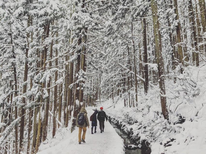 From Nozawa Onsen: Snow Monkeys and Zenko-ji Day Trip & Sake - Zenko-ji gives the day a strong second act