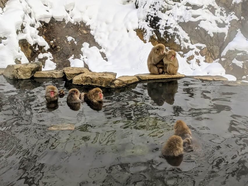 From Nozawa Onsen: Snow Monkeys and Zenko-ji Day Trip & Sake - The sake stop is small but useful
