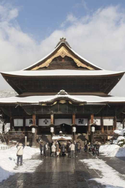 From Nozawa Onsen: Snow Monkeys and Zenko-ji Day Trip & Sake - Who will enjoy this day most