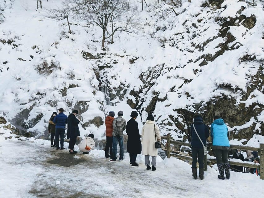 From Nozawa Onsen: Snow Monkeys and Zenko-ji Day Trip & Sake - Should you book this Nozawa Onsen day trip?