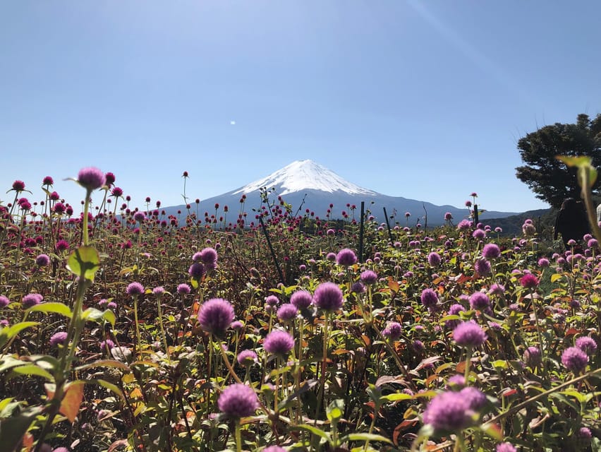 From Tokyo: Mount Fuji, Cruise and Sake Tour - Inside Ide Sake Brewery