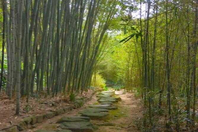 Hidden Bamboo gem and Japanese foods in Izakaya Private Tour - Why this Kyoto afternoon feels different