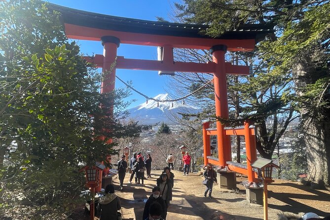 Mt FUJI - Panoramic Tour w/ Hoto Lunch, JP Sake & Onsen tatto OK! - Why this Fuji day trip feels different