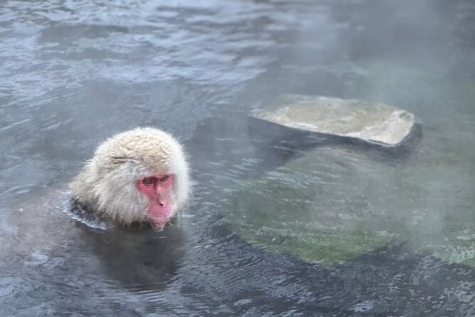 Nagano: Snow Monkey and Zenkoji Temple Free Sake Taste Day Tour - Zenkoji Temple and Nagano’s spiritual center