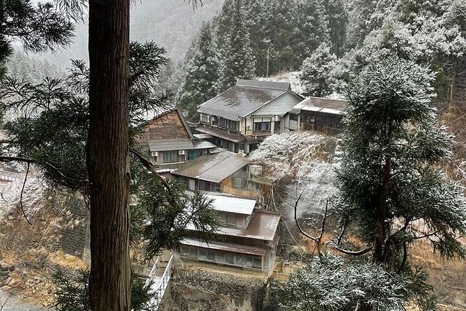 Nagano: Snow Monkey and Zenkoji Temple Free Sake Taste Day Tour - Lunch, local sake, and unclear costs