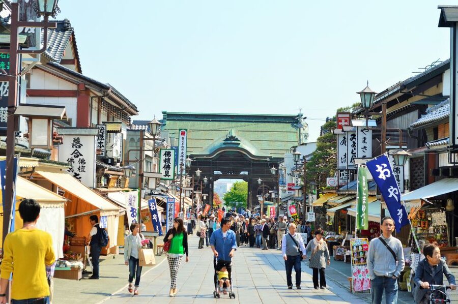 Nagano: Snow Monkeys, Zenkoji Temple & Sake Day Trip - What you may see at the hot springs