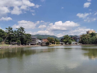 Nara: Sake Tasting Tour at the Birthplace of Japanese Sake
