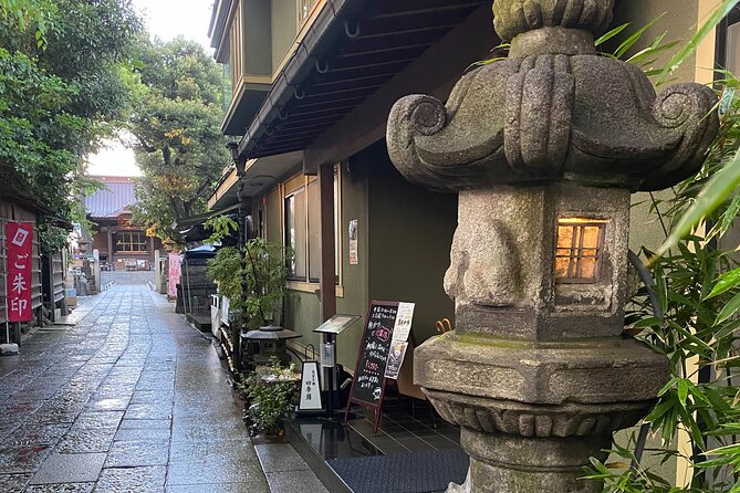Osaki, Togoshi Ginza Private Walking Food , Izakaya dinner tour - Who will enjoy this experience most