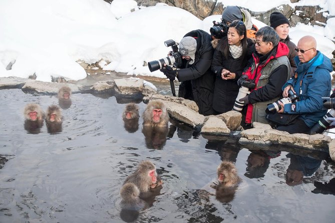 Private Nagano 1-Day Tour:Snow Monkeys,Zenko-ji,Obuse,Sake,Onsen - Zenko-ji, Nagano’s great temple
