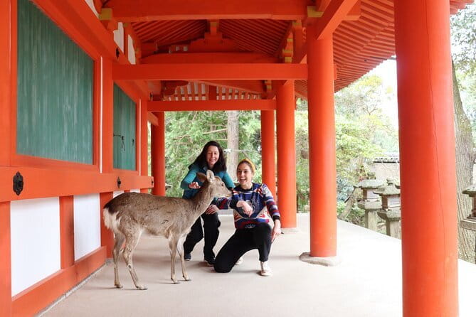 Private Nara Tour and Sake Tasting (Departing from Kyoto/Nara) - Key points to know before booking