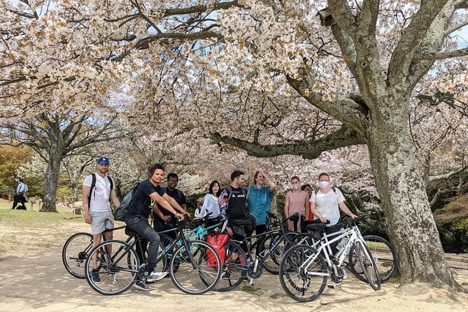 Private Nara Tour and Sake Tasting (Departing from Kyoto/Nara) - Meeting Nara’s deer in the park