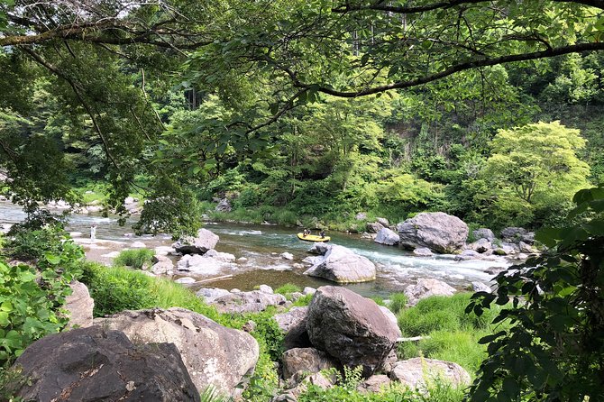 Private Tour: Tokyo's Oldest Sake Brewery and Riverside Walk - A traditional riverside lunch slows the day down