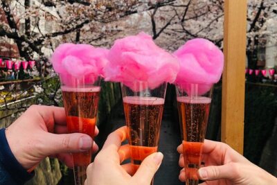Sake Tasting and Cherry Blossom Fun in Tokyo!