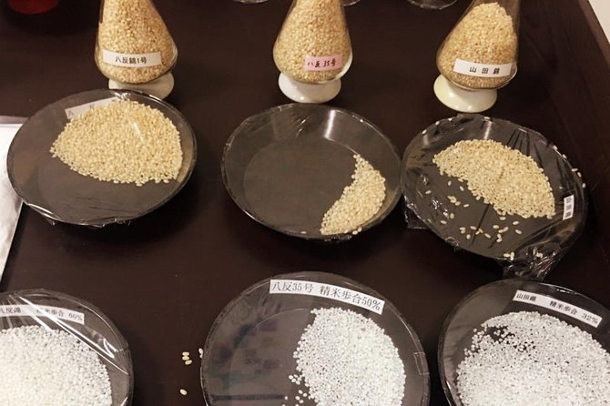 Sake Town Tour in Saijo Hiroshima - Who should book this experience?