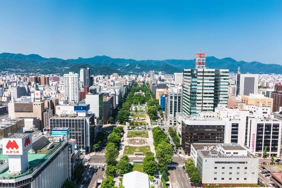 Sapporo: Buddha Hill, TV Tower, and Sake Stand Bar Tour - Why this Sapporo day feels different