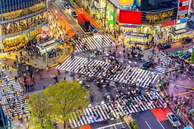 Tokyo: Shibuya Local Bar & Izakaya Crawl Tour - Key points to know before you book