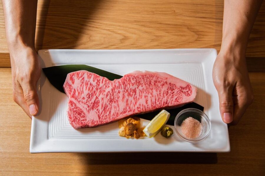 Wagyu & Sake 8 Course Tasting Dinner in Shinjuku - Learning why wagyu tastes so different